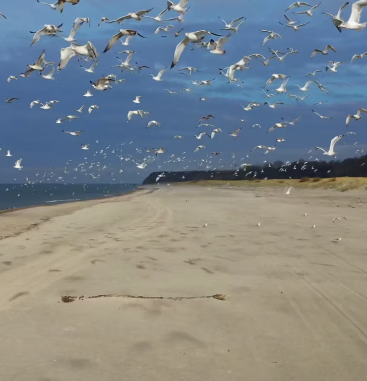 The Curonian Spit